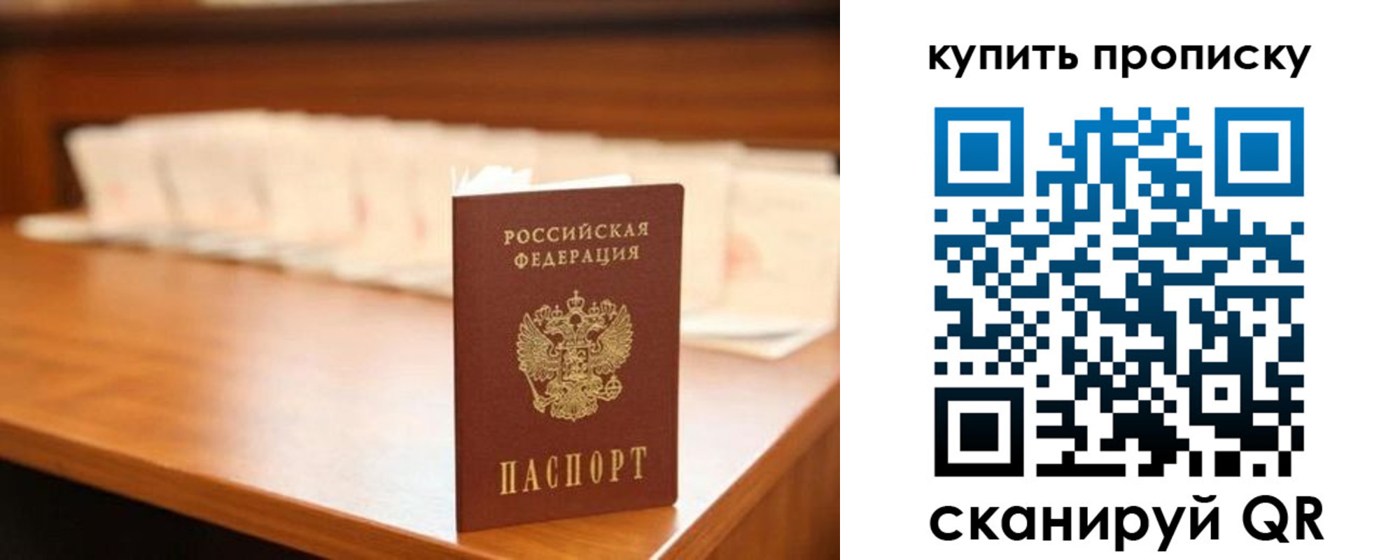 прописка 2025 в Мурино